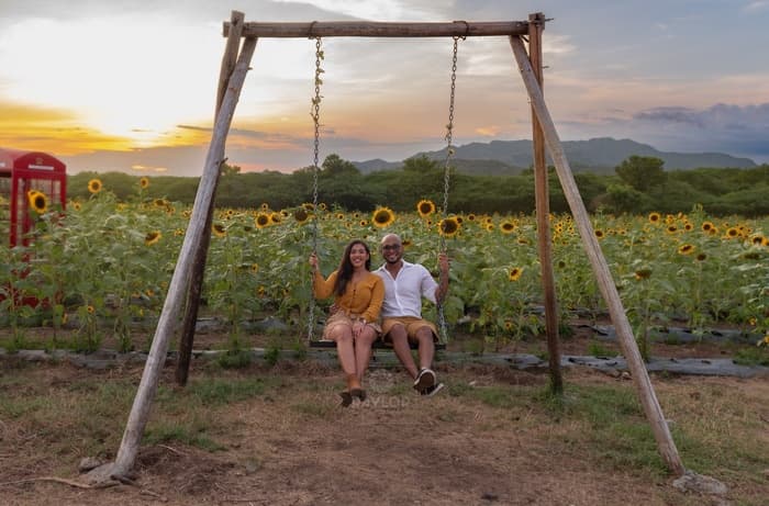 Photography showcase